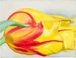 Gelbrote Tulpe, 2015

Öl auf Leinwand, 50 x 65 cm
rückseitig signiert und datiert

Ausrufpreis: 1800,-